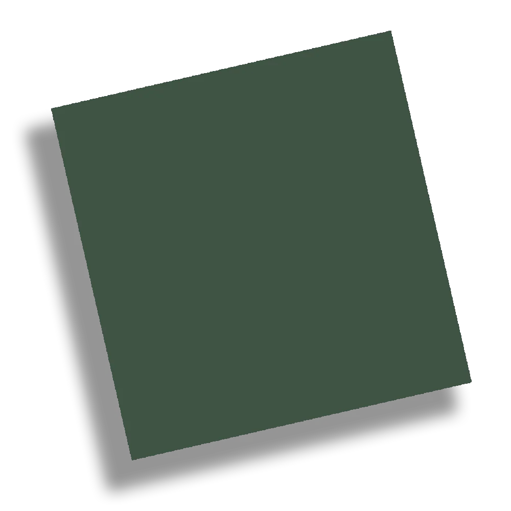 Canopy Patch - Image 3